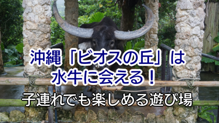 【2019年】沖縄「ビオスの丘」は水牛に会える！子連れでも楽しめる遊び場